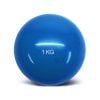 1 kg