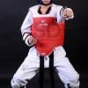 protector-taekwondo